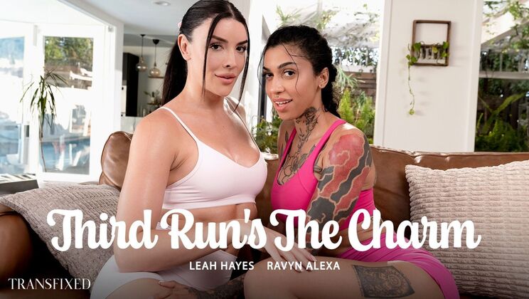 Doggystyle with Big Cock: Third Run's The Charm Hard • unique special • FapNest